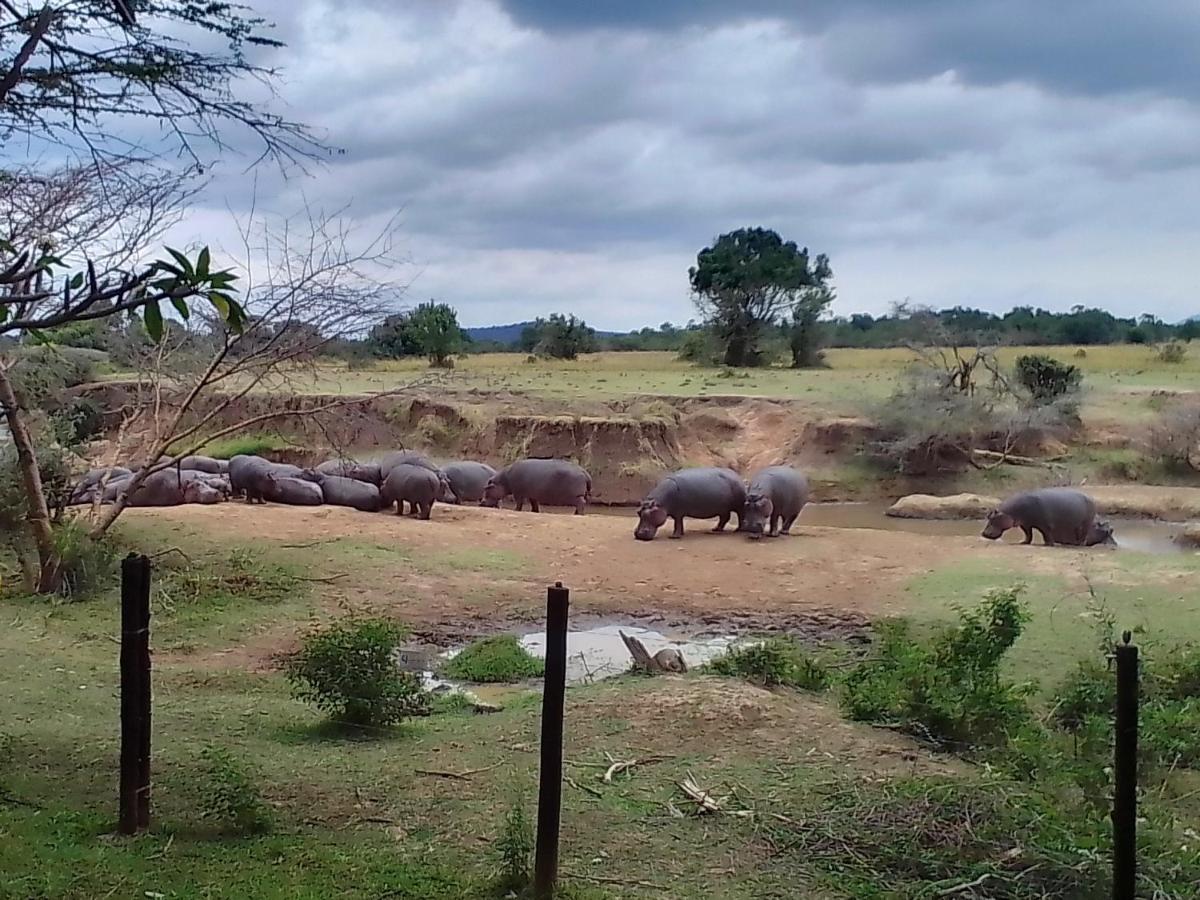 Lodge Mara River *