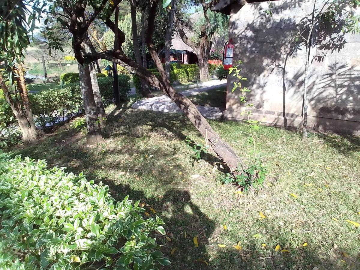 Mara River * Aitong