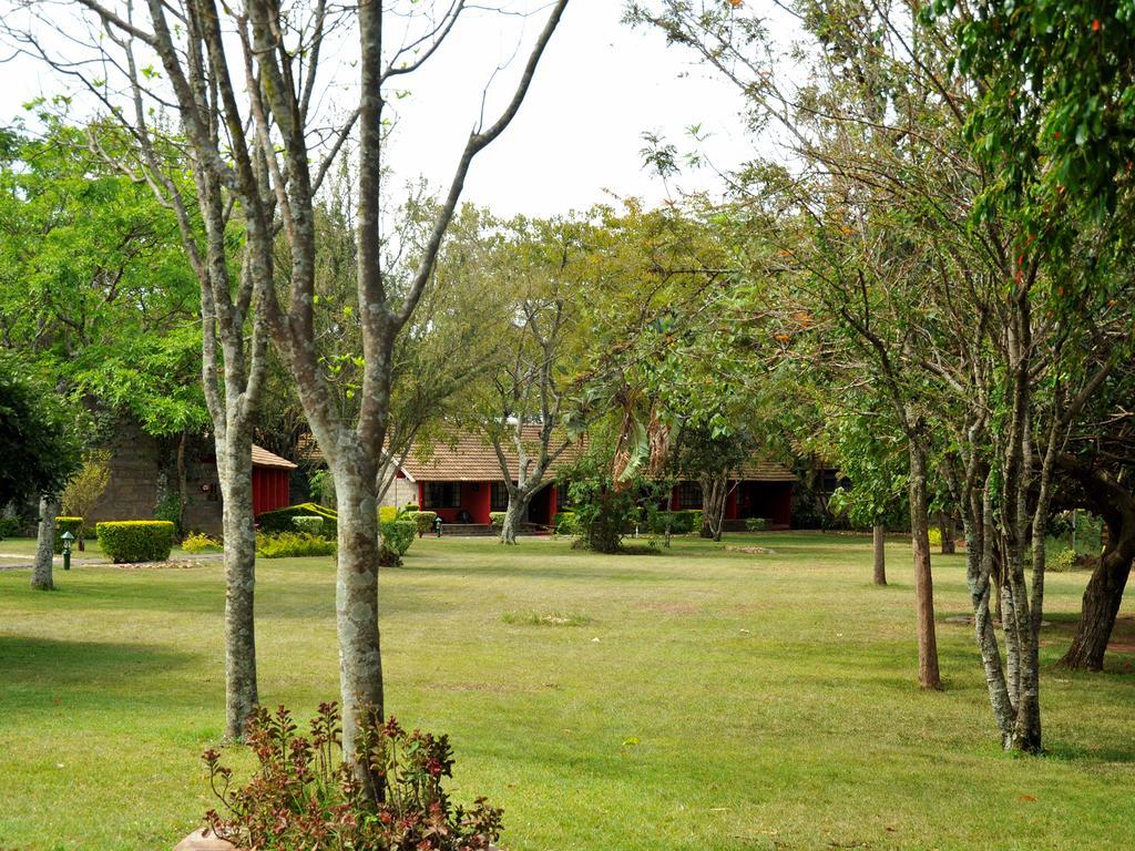 Mara River Lodge