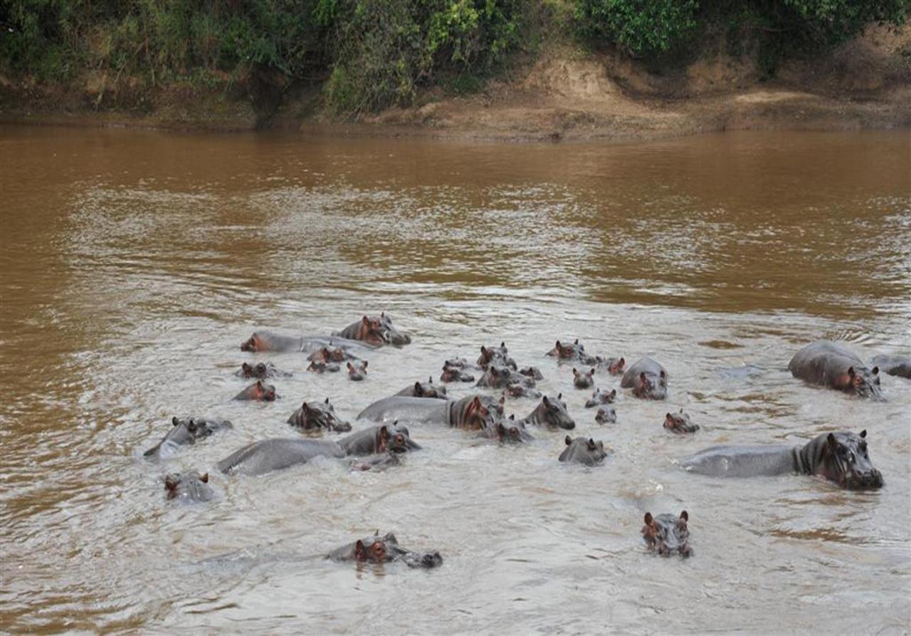 Lodge Mara River